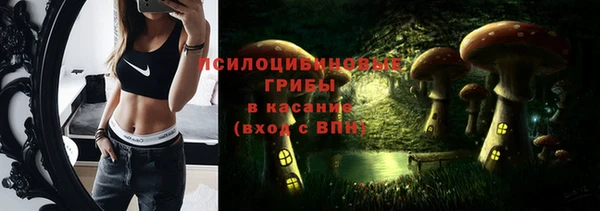 молекула духа Ростов