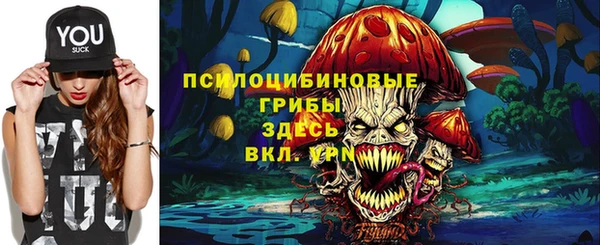 PSILOCYBIN Балабаново